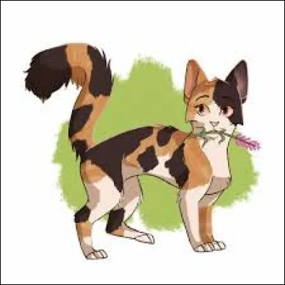 Son apprenti(e) avait-il(elle) commencé par un statut d'apprenti guerrier ?