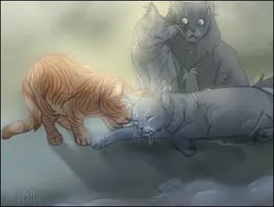 Vers quel âge meurt-il ?