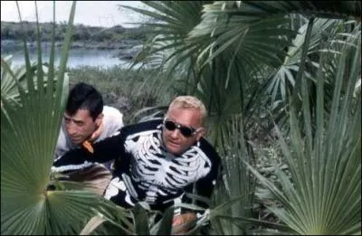 Quel est le titre de ce film ?