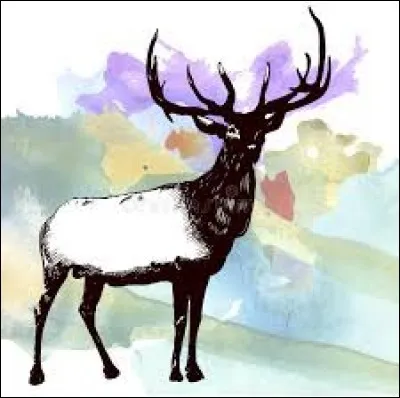 Trois mots : Jambe / Cheval / Homme, pour deviner...