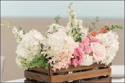 Il peut être ascète en Inde ou artiste qui produit des tours spectaculaires.