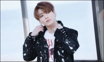 Quel super-héros adore-t-il ?