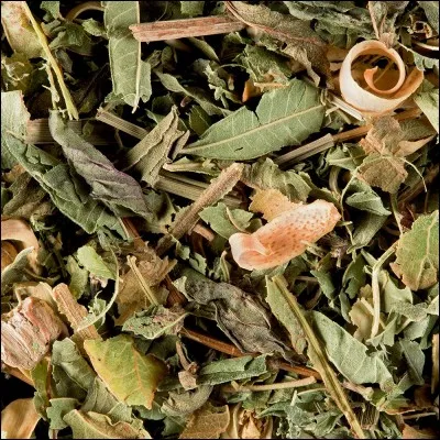 Dans quel liquide fait-on reposer du matériel végétal pour faire une tisane ?