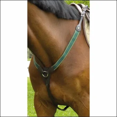 Quel est le nom de cet équipement ?