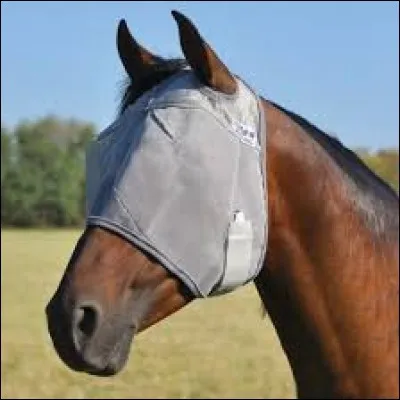 Quel est cet équipement ?