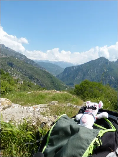 'Bougres d'extrait de crétins des Alpes'. Les crétins des Alpes ont-ils vraiment existé ?