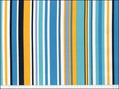 'Bayadère de carnaval' . Qu'est-ce qu'une bayadère ?