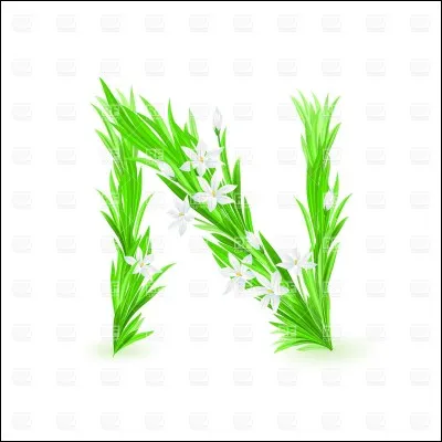 N. Lequel de ces mots de passe existe ?