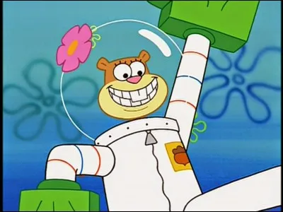 Quel sport pratiquent Sandy et Bob ?