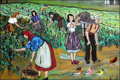 Je suis la femme du vendangeur.