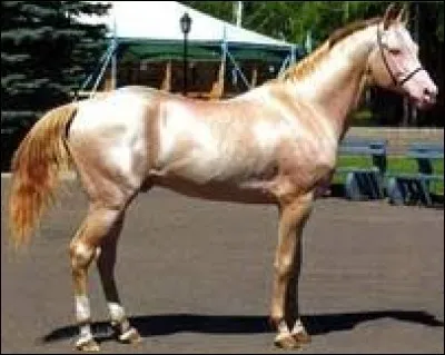 Bon alors,celui-là est :