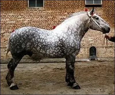 Cela aussi j'aime bien :