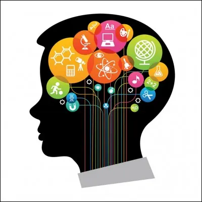 Pour apprendre une leçon, tu :