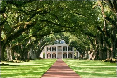 Cette allée de chênes, qui va jusqu'au Mississippi, remonte aux années 1700. Ce chemin d'un km nous introduit à cette maison typique du vieux sud d'avant-guerre. Sa vocation était d'ailleurs d'être une plantation de canne à sucre.
Son architecture est influencé par le Créole français local dans le style des plantations des Caraïbes.