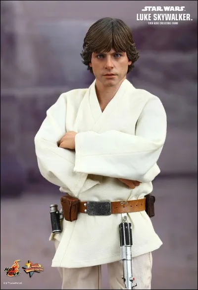 Le père de Luc Skywalker est :