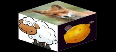 Quelle est la bonne réponse ?