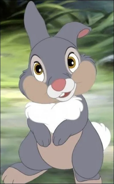 Dans quel dessin animé peut-on voir le lapin Panpan ?