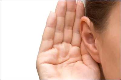 Il faudrait savoir, où tu m'écoutes, où tu ne m'écoutes pas, mais d'ou t'es venue cette idée de m'offrir du houx au mois d'août ?