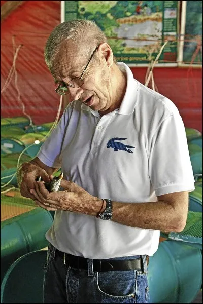 René Lacoste est né le 2 juillet 1904. Quel sport exerçait-il ?