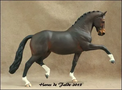 Un cheval marron très foncé avec des petites teintes plus claires par-ci par-là et à la crinière noire a une robe...