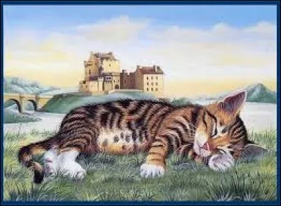 Complétez la citation de Leonard de Vinci : 
Le plus petit des félins est...