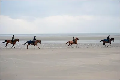 Tu as pratiqué l'équitation, sur l'immense plage de sable fin du Touquet. Quelle mer borde cette plage ?