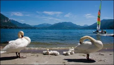 Tu es loin de la mer mais l'eau te manque. Dans quel milieu naturel peux-tu te baigner à la montagne ?