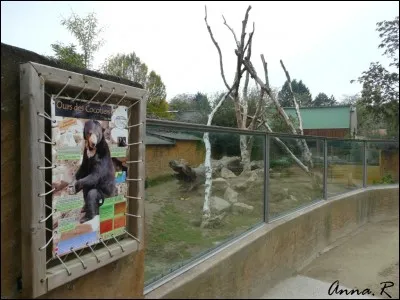 Quels animaux ont été déplacés dans l'enclos des ours ?