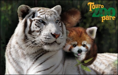 Où est situé le zoo de Touroparc ?