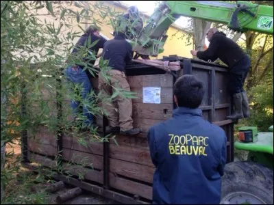 Quel gros et rare mammifère est arrivé en 2012 au parc et quel est son nom ?