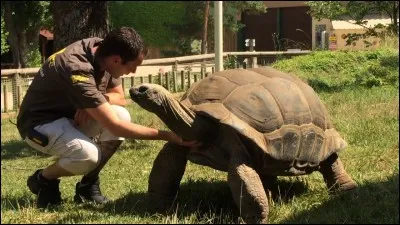 Comment s'appelle la tortue mascotte de Touroparc ?