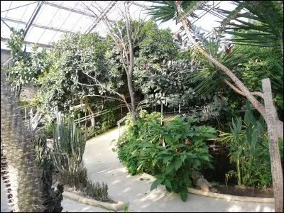 Où est située la serre tropicale ?