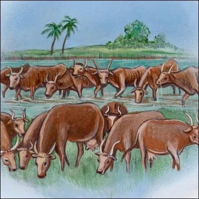 Quel était ce songe ?