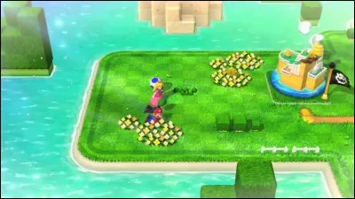 C'est le niveau 1-1 du jeu