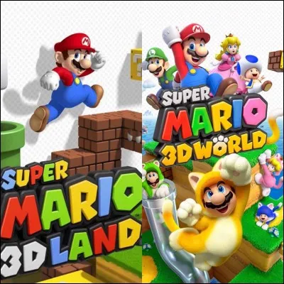 Quel côté représente l'image de Super Mario 3D Land ?