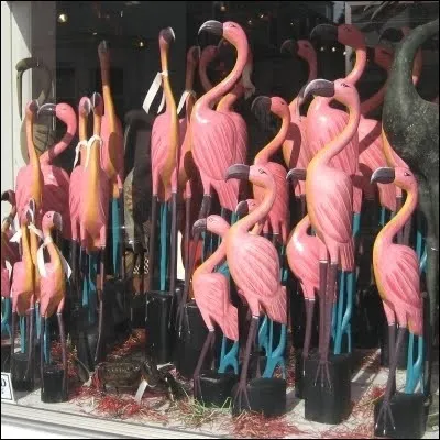 Observez bien l'illustration ! Et parce que vous êtes mauvais en orthographe, vous choisirez aussitôt...