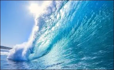 Quel est l'océan le plus vaste ?