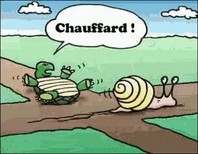 La 19e lettre de l'alphabet est mon premier.
Mon second est un moyen de transport.
Mon troisième est un jeu chinois qui comprend un damier et des pions.
Mon tout est un mollusque.