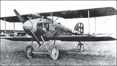 Cet avion de chasse solide et agile, mis en service à la fin 1916, a redonné une supériorité à la chasse allemande. C'est un ...