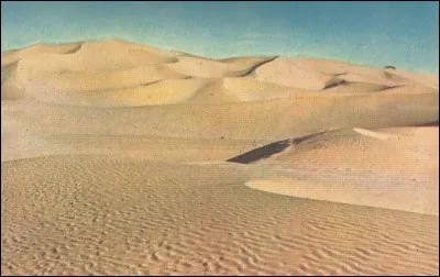 Au Sahara, quel nom porte un ensemble de dunes de sable aux formes mouvantes ?