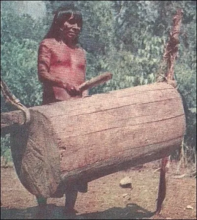 Ce tam-tam des Andes a pour nom...