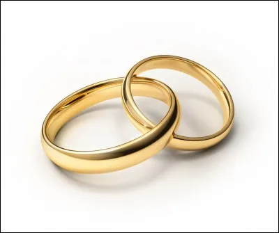 En France, on peut être marié 2 fois en même temps.