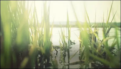 Quel est le nom de la femme prénommée Patty que George épousa le 21 janvier 1966 ?