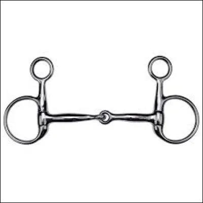 Quel est le nom de ce mors ?