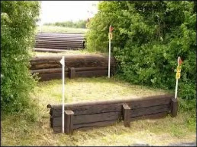 Quel est cet obstacle ?