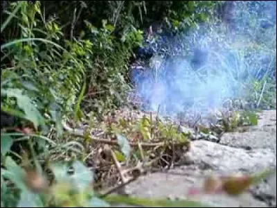 Ton frère a mis un pétard dans le jardin. Que fais-tu ?