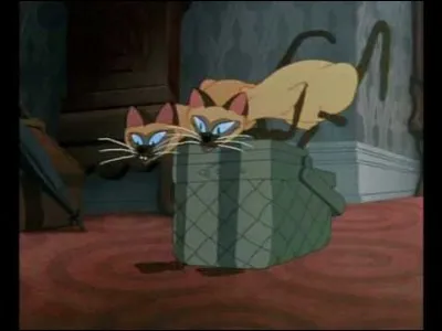 Quel est le nom de chacun de ces deux chats dans "La Belle et le clochard" ?