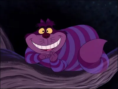 Dans quel dessin animé retrouve-t-on le mythique sourire de ce chat, et quel est son nom ?
