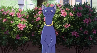 Qui est ce chat, personnage du film japonais "Le royaume des chats" ?