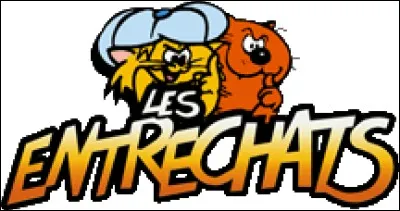 Combien de chats compte la bande des "Entrechats" ?